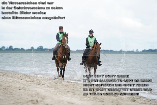 s_K3F04980.JPG